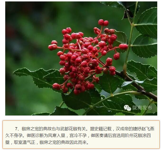 蘭渝鐵路最早由孫中山先生提出？在隴南，你不知道的事兒還有……