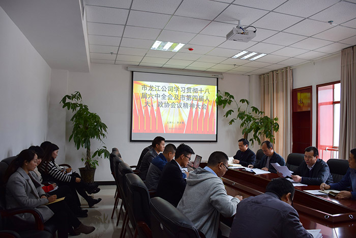 市龍江公司召開全體員工大會，專題傳達學習上級會議精神