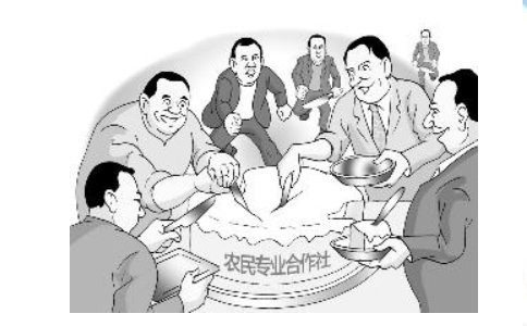 鄭州農(nóng)民專業(yè)合作社注冊